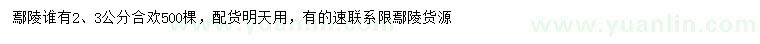 求購2、3公分合歡
