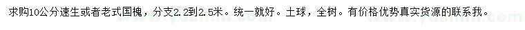 求購10公分速生或者老式國槐