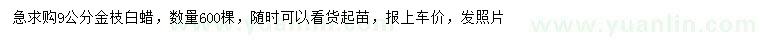 求購(gòu)9公分金枝白蠟