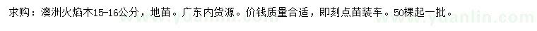 求購15-16公分澳洲火焰木