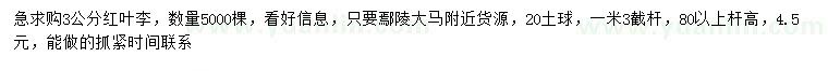 求購3公分紅葉李