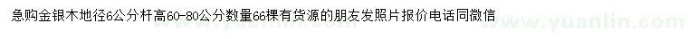 求購(gòu)地徑6公分金銀木