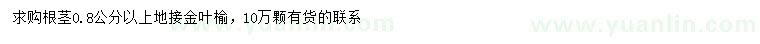 求購(gòu)根莖0.8公分以上地接金葉榆