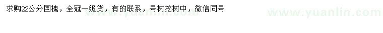 求購22公分國槐