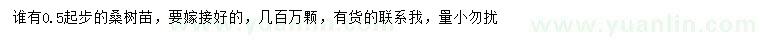 求購0.5公分起步桑樹苗