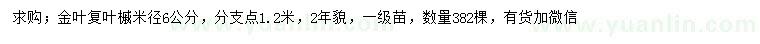 求購米徑6公分金葉復(fù)葉槭
