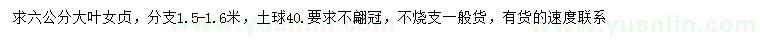 求購6公分大葉女貞