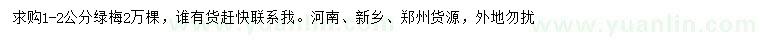 求購1-2公分綠梅
