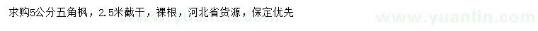 求購5公分五角楓