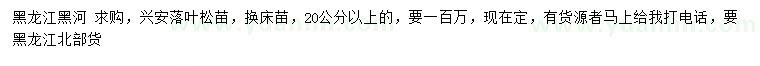求購(gòu)20公分以上落葉松苗