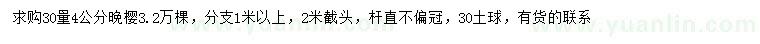 求購30量4公分晚櫻