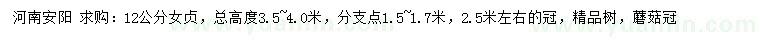 求購12公分女貞