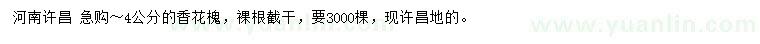 求購4公分香花槐