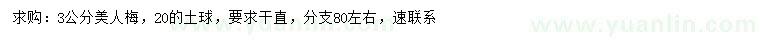 求購3公分美人梅