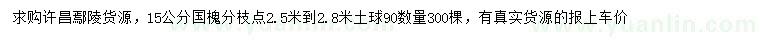 求購15公分國槐