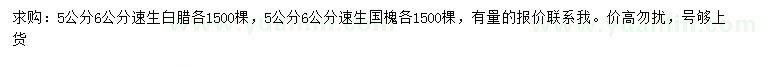 求購(gòu)5、6公分速生白蠟、速生國(guó)槐