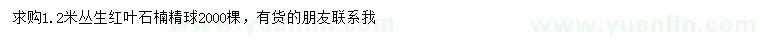 求購(gòu)1.2米叢生紅葉石楠精球