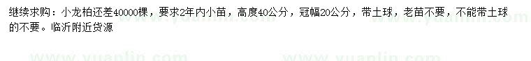 求購(gòu)高40公分小龍柏