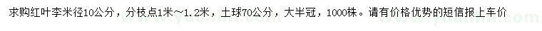 求購米徑10公分紅葉李