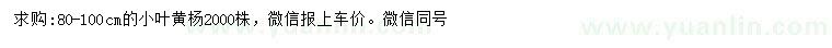 求購80-100公分小葉黃楊