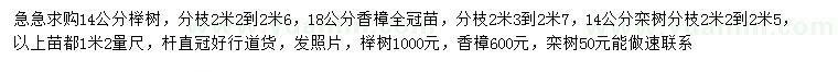 求購櫸樹、欒樹、香樟