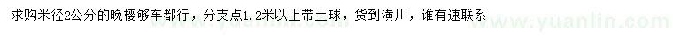 求購(gòu)米徑2公分晚櫻