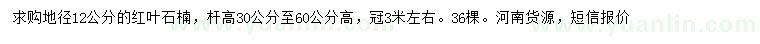 求購地徑12公分紅葉石楠