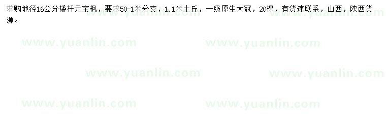 求購地徑16公分元寶楓