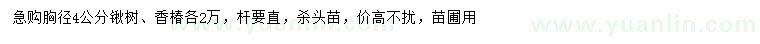 求購(gòu)胸徑4公分楸樹、香椿