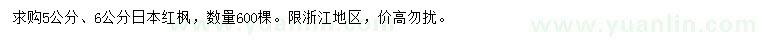 求購5、6公分日本紅楓