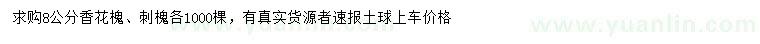 求購8公分香花槐、刺槐