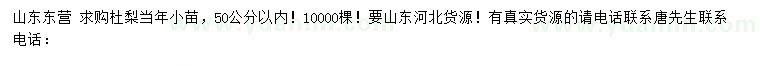 求購(gòu)50公分以?xún)?nèi)杜梨