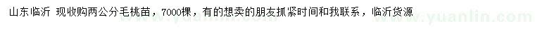 求購2公分毛桃苗