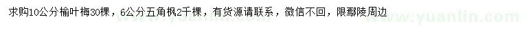 求購10公分榆葉梅、6公分五角楓