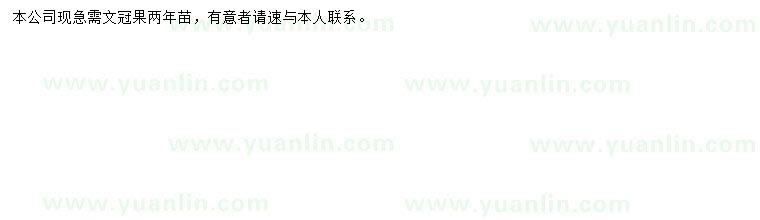 求購(gòu)兩年文冠果苗