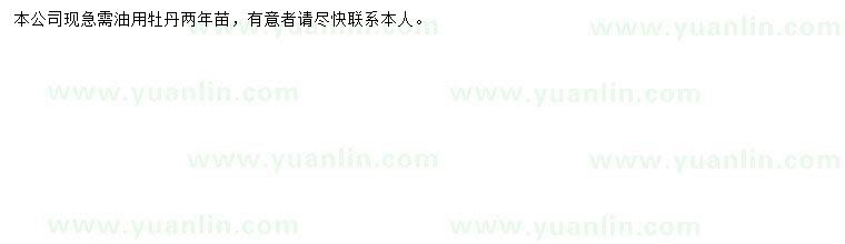 求購(gòu)兩年牡丹苗