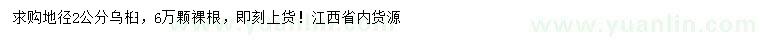 求購(gòu)地徑2公分烏桕