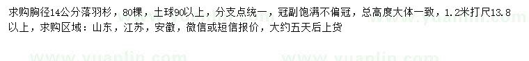 求購(gòu)1.2米量14公分落羽杉