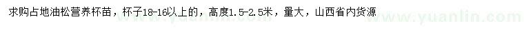 求購高1.5-2.5米占地油松
