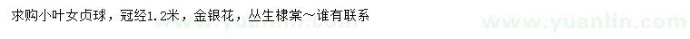 求購小葉女貞球、金銀花、叢生棣棠