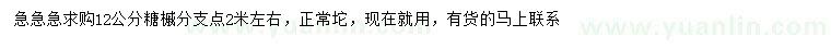 求購(gòu)12公分糖槭