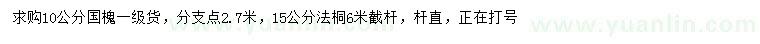 求購10公分國槐、15公分法桐