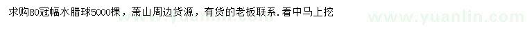 求購冠幅80公分水臘球