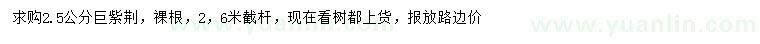 求購(gòu)2.5公分巨紫荊