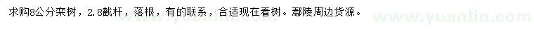 求購8公分欒樹