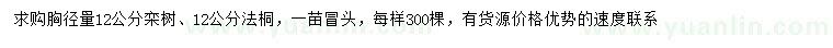 求購胸徑量12公分欒樹、法桐