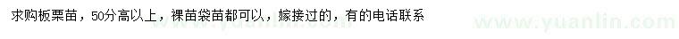求購(gòu)高50公分以上板栗苗