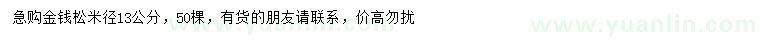 求購米徑13公分金錢松