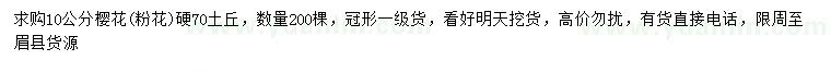 求購10公分櫻花