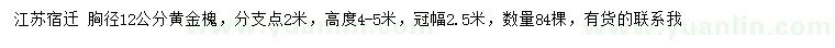 求購胸徑12公分黃金槐